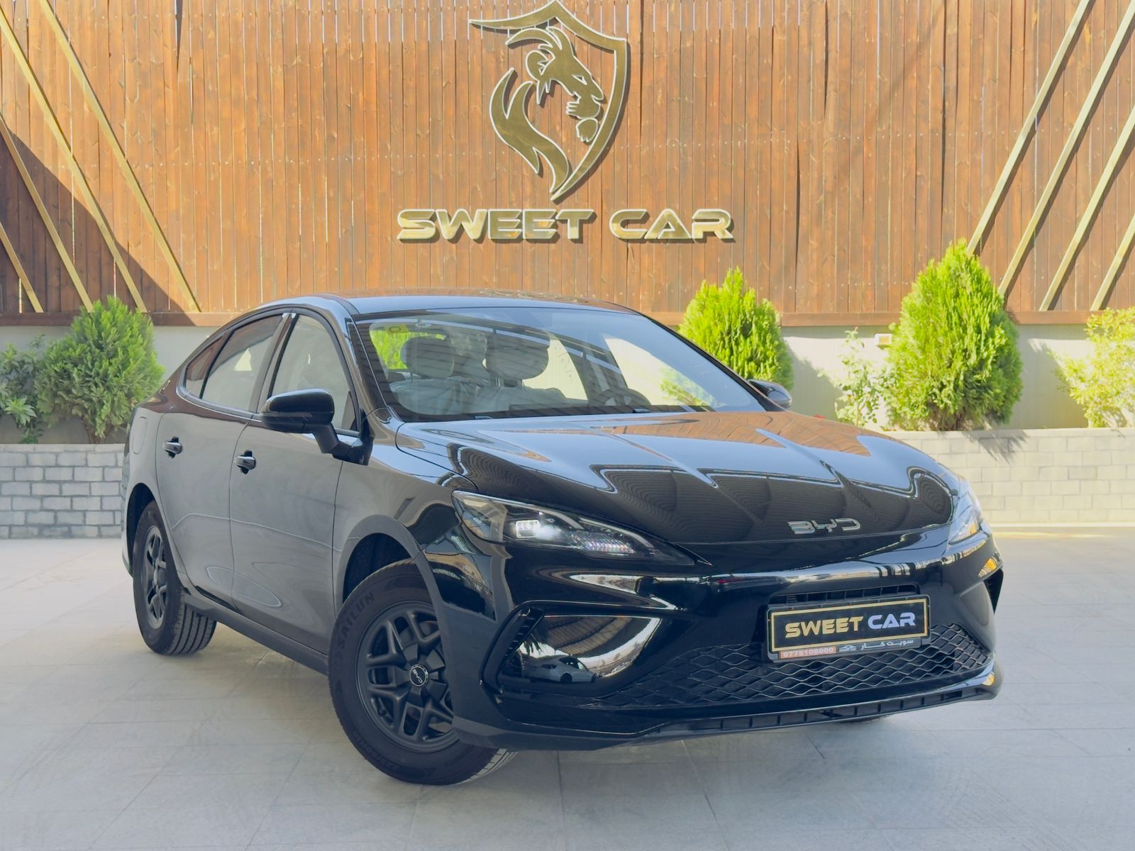 بي واي دي seal 05  4